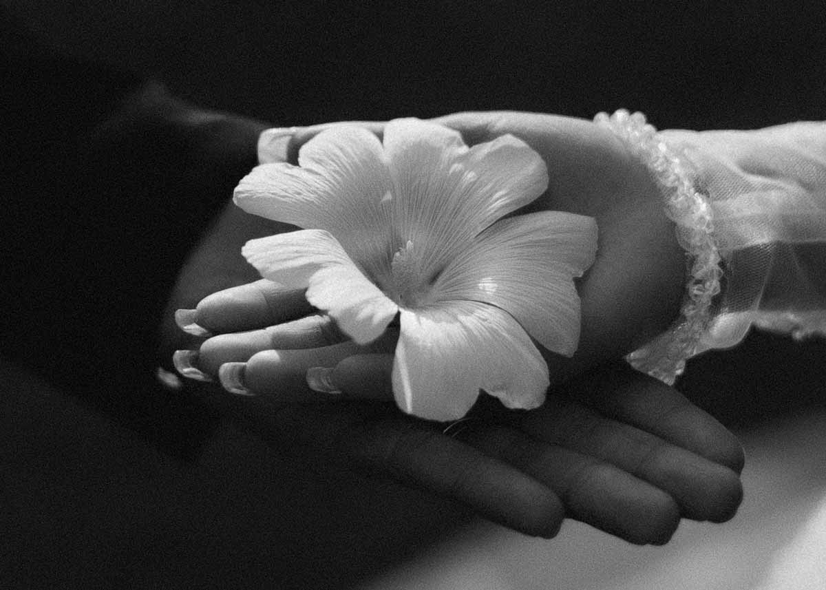 ژاو پایان جستوجوها